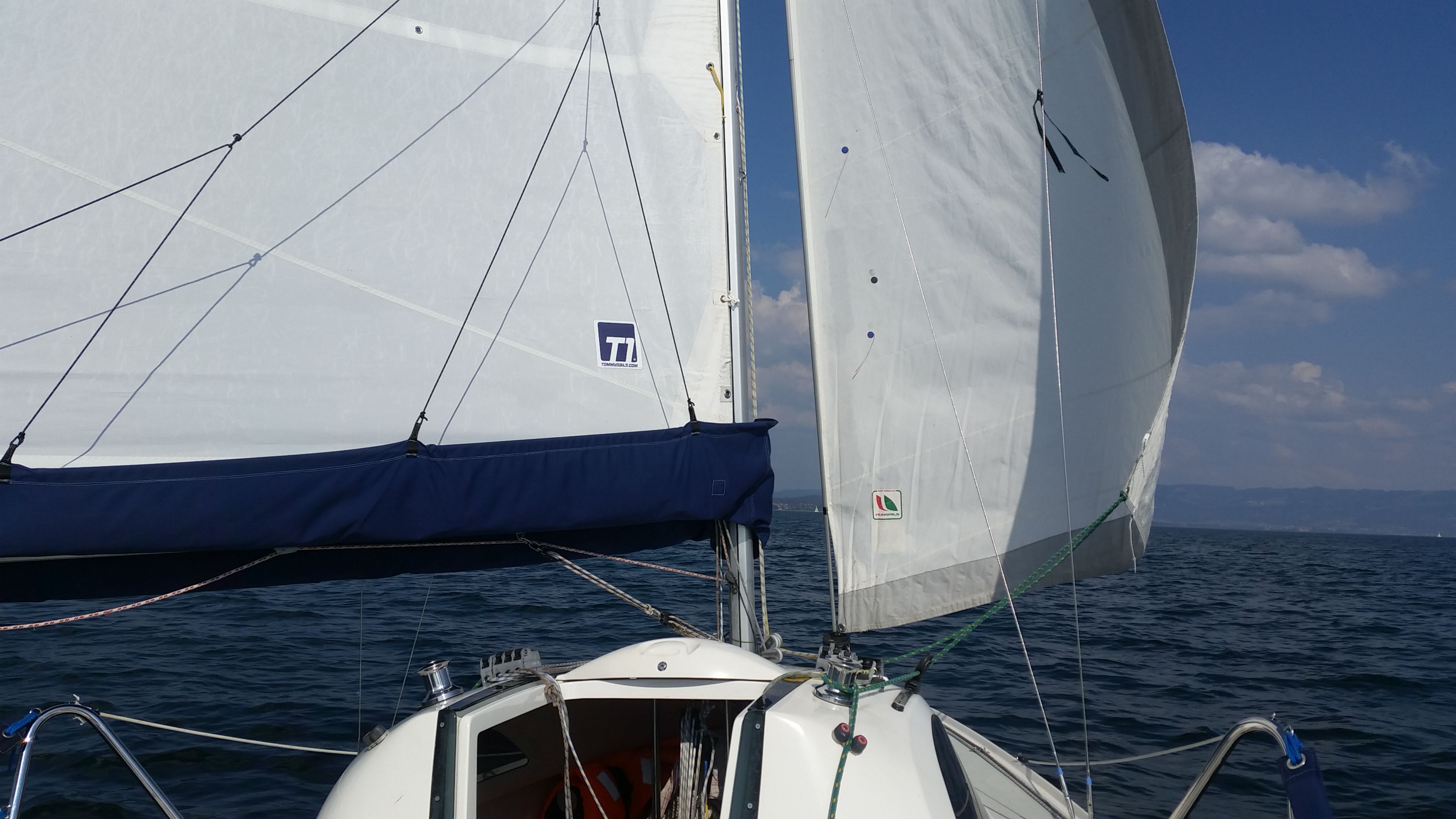 Butterfly on a Scholtz 22